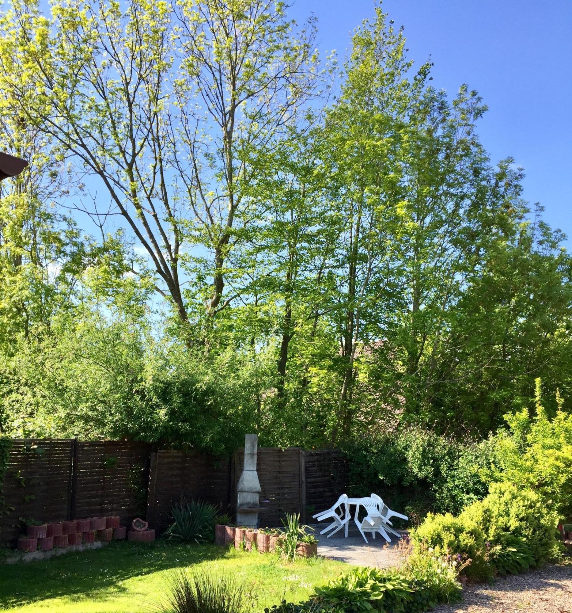 Hostel 66 Bremerhaven Geestland Imsum 외부 사진